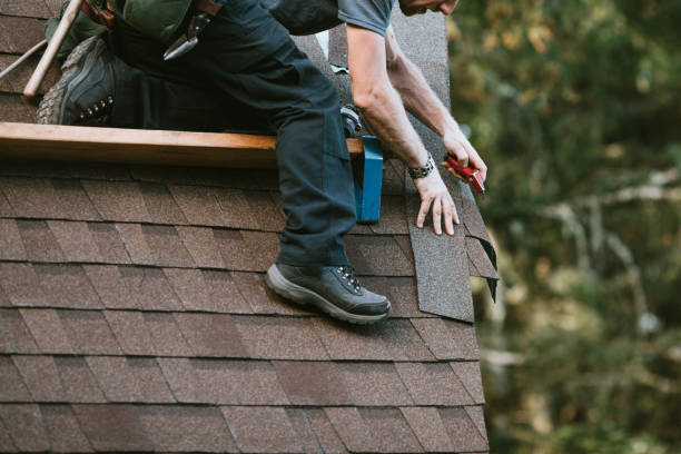 Best Storm Damage Roof Repair  in Warrenton, MO